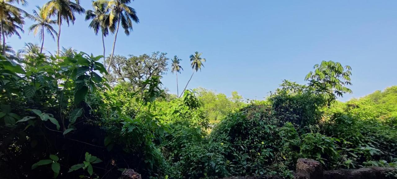 J-House, Spacious Apartments With Balconies, Thalassa 1Min Away Siolim Buitenkant foto
